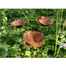 Mohn Gartenstecker aus Metall rostig